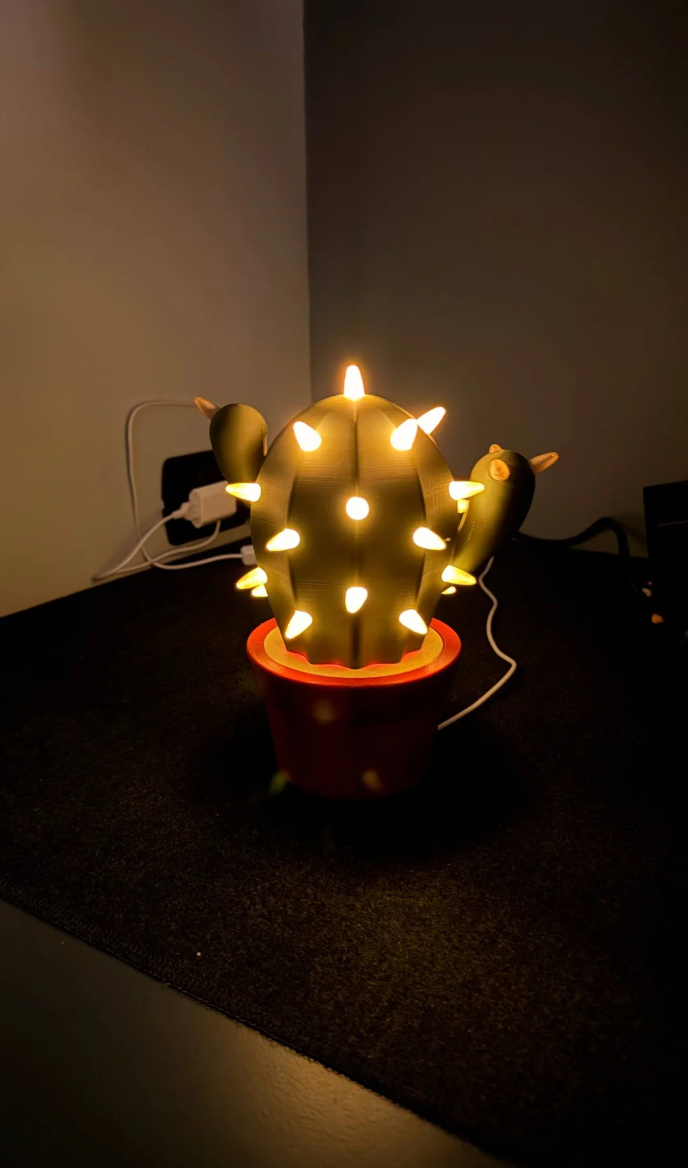 CACTICHARM | CACTUS JEWELRY HOLDER & LAMP